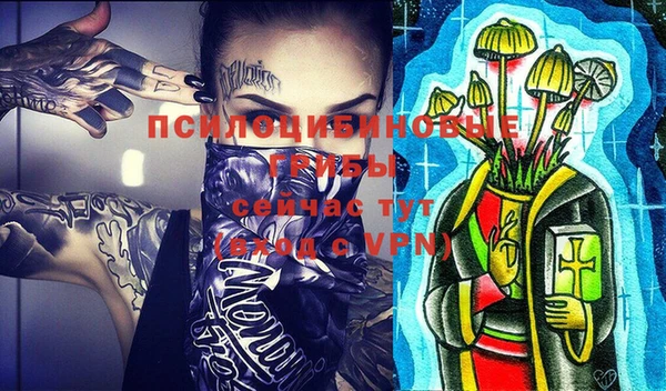 сатива Липки