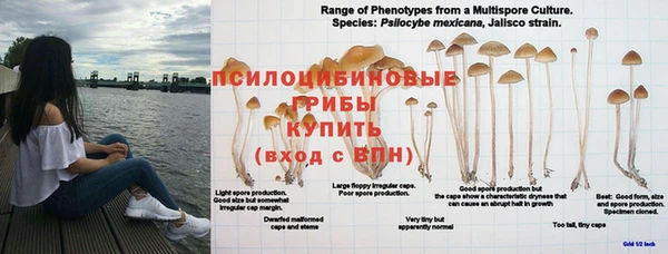 твердый Майский
