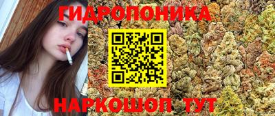 а пвп мука Гатчина