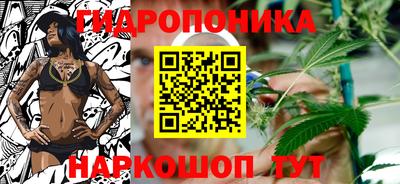 прущие грибы Балаково