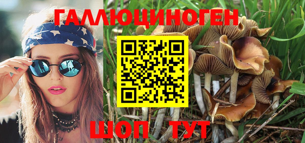 Псилоцибиновые грибы MAGIC MUSHROOMS  Вход с VPN  Мариинск 