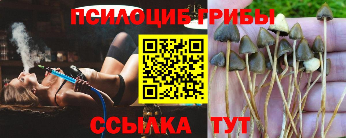 Галлюциногенные грибы GOLDEN TEACHER  Мариинск  Галлюциногенные грибы Magic Shrooms 