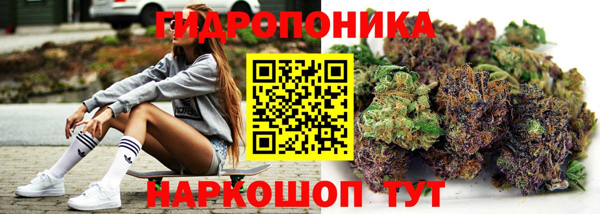 Бошки Шишки Ganja  Каннабис семена  Конопля VHQ  Мариинск 